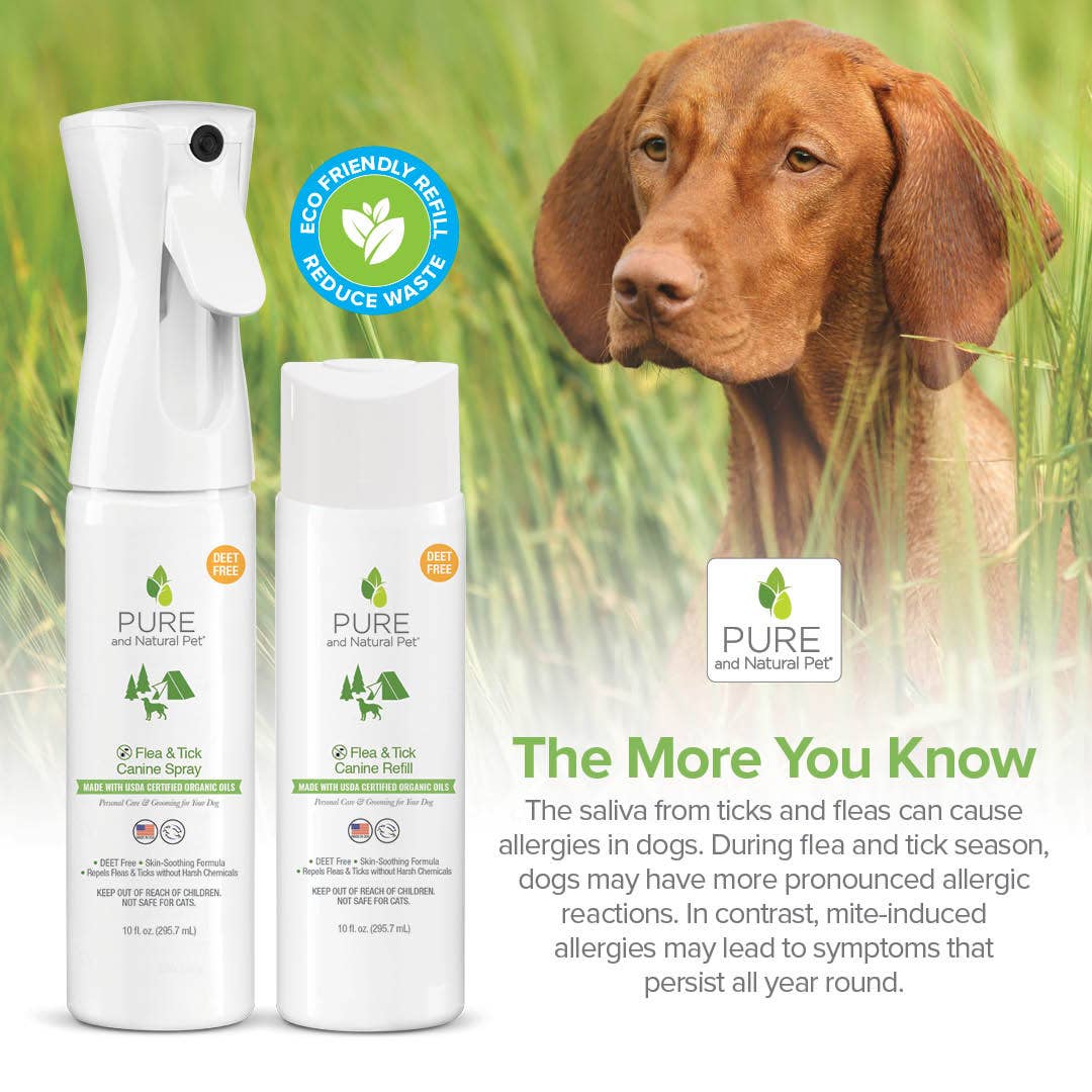 All Natural Flea and Tick Spray for Dogs